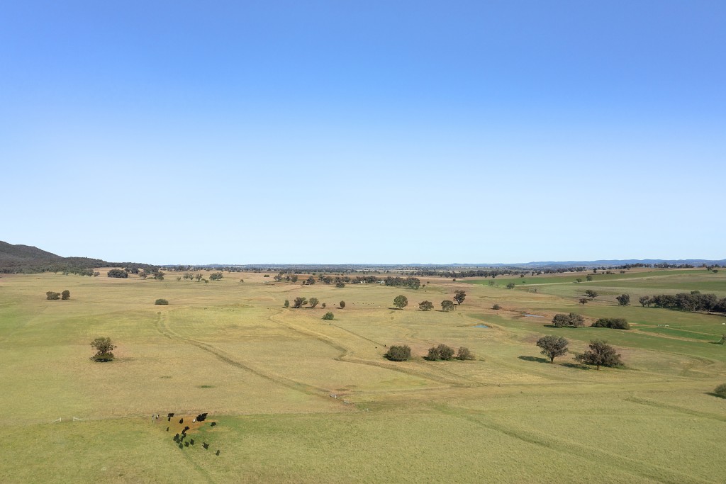 138 Hamalet Road, Bournewood NSW 2868 - photo 10