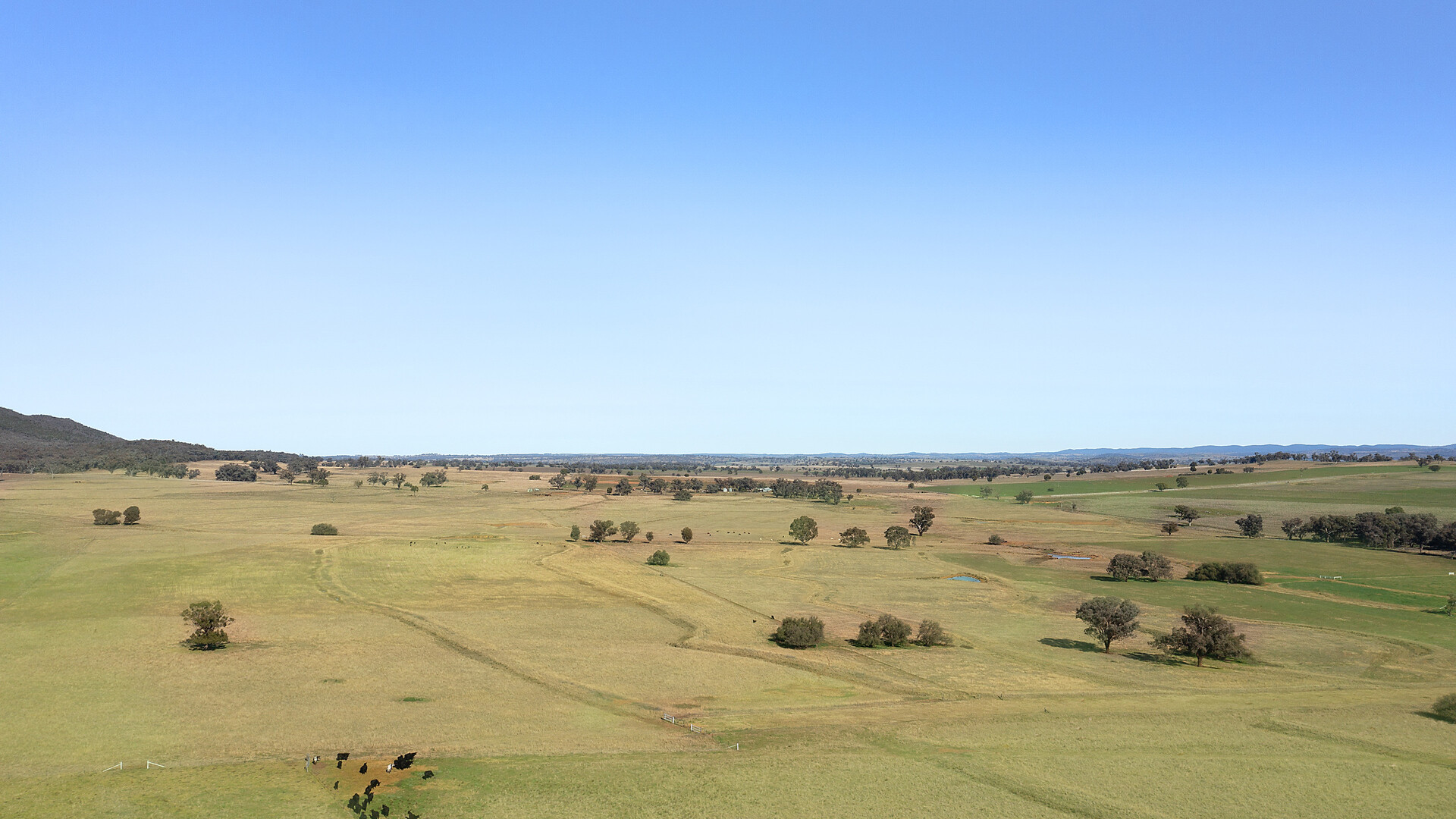 138 Hamalet Road, Bournewood NSW 2868 - photo 10