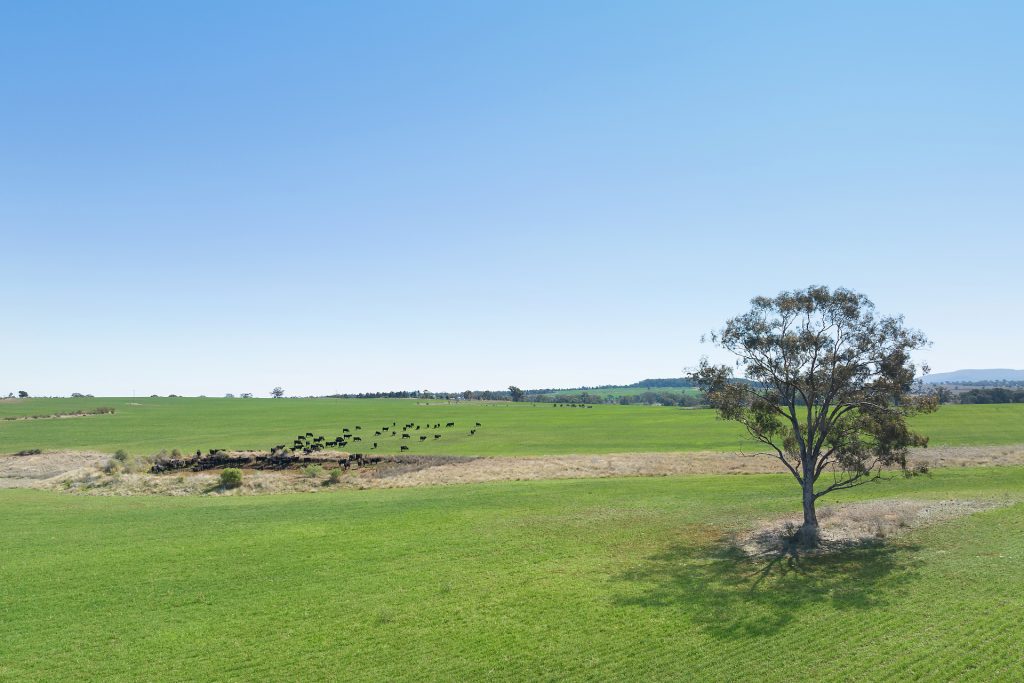73 John Renshaw Parkway, Tooraweenah NSW 2817 - photo 2