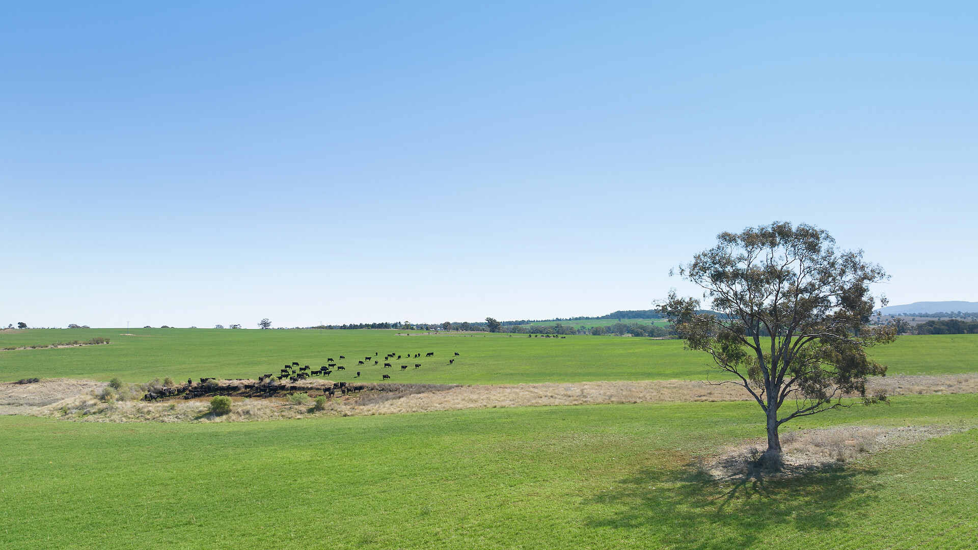 73 John Renshaw Parkway, Tooraweenah NSW 2817 - photo 2