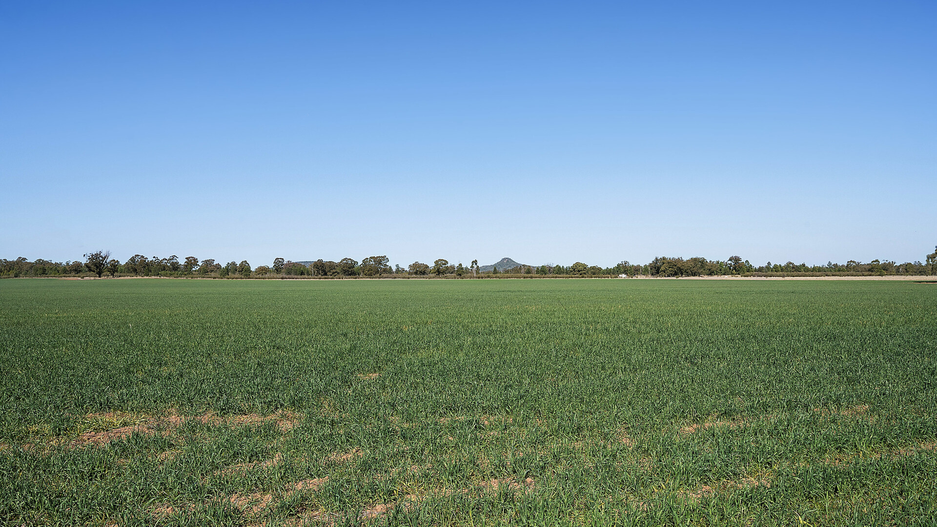 73 John Renshaw Parkway, Tooraweenah NSW 2817 - photo 11
