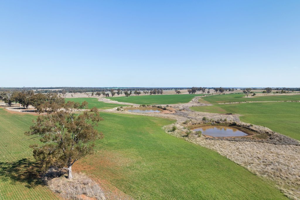 73 John Renshaw Parkway, Tooraweenah NSW 2817 - photo 13