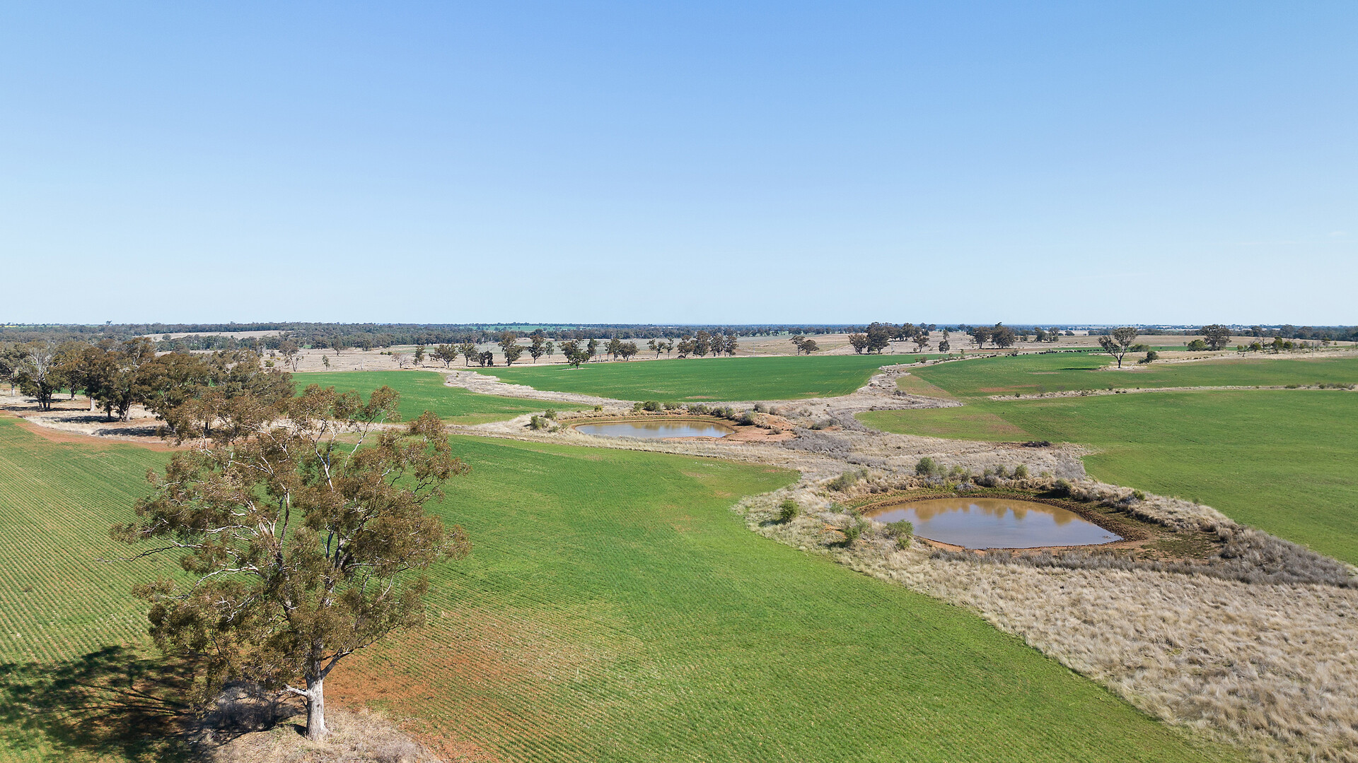 73 John Renshaw Parkway, Tooraweenah NSW 2817 - photo 13