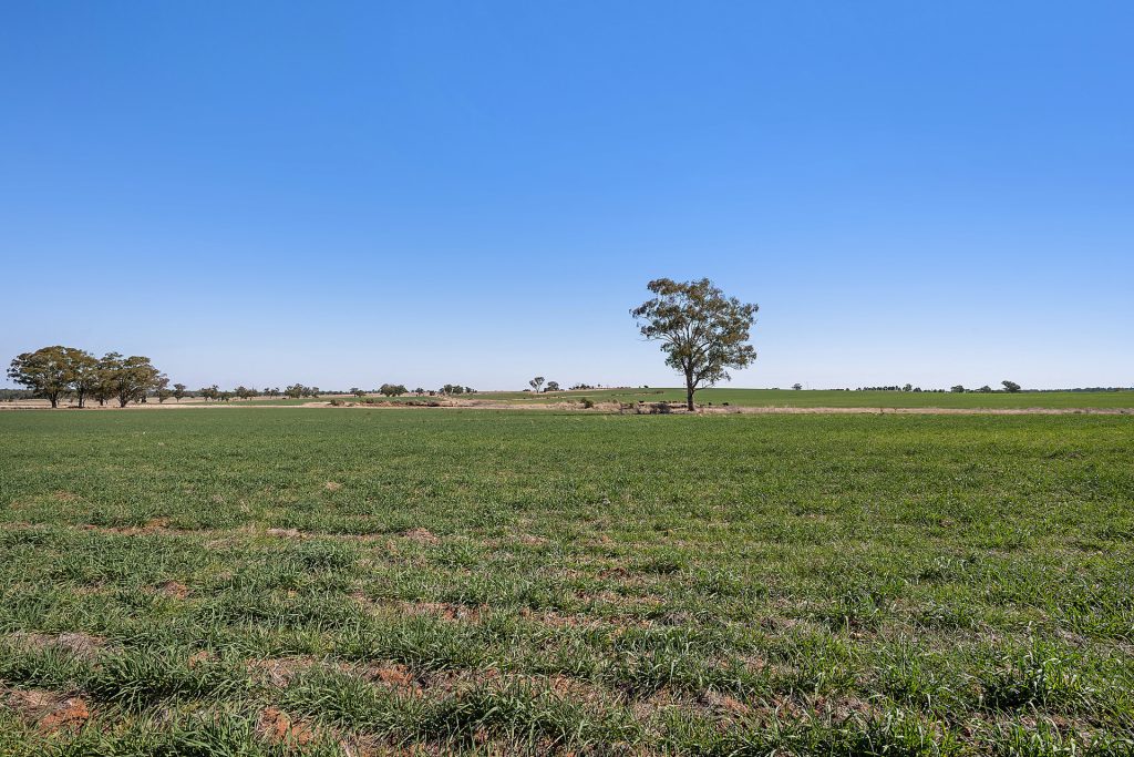73 John Renshaw Parkway, Tooraweenah NSW 2817 - photo 15