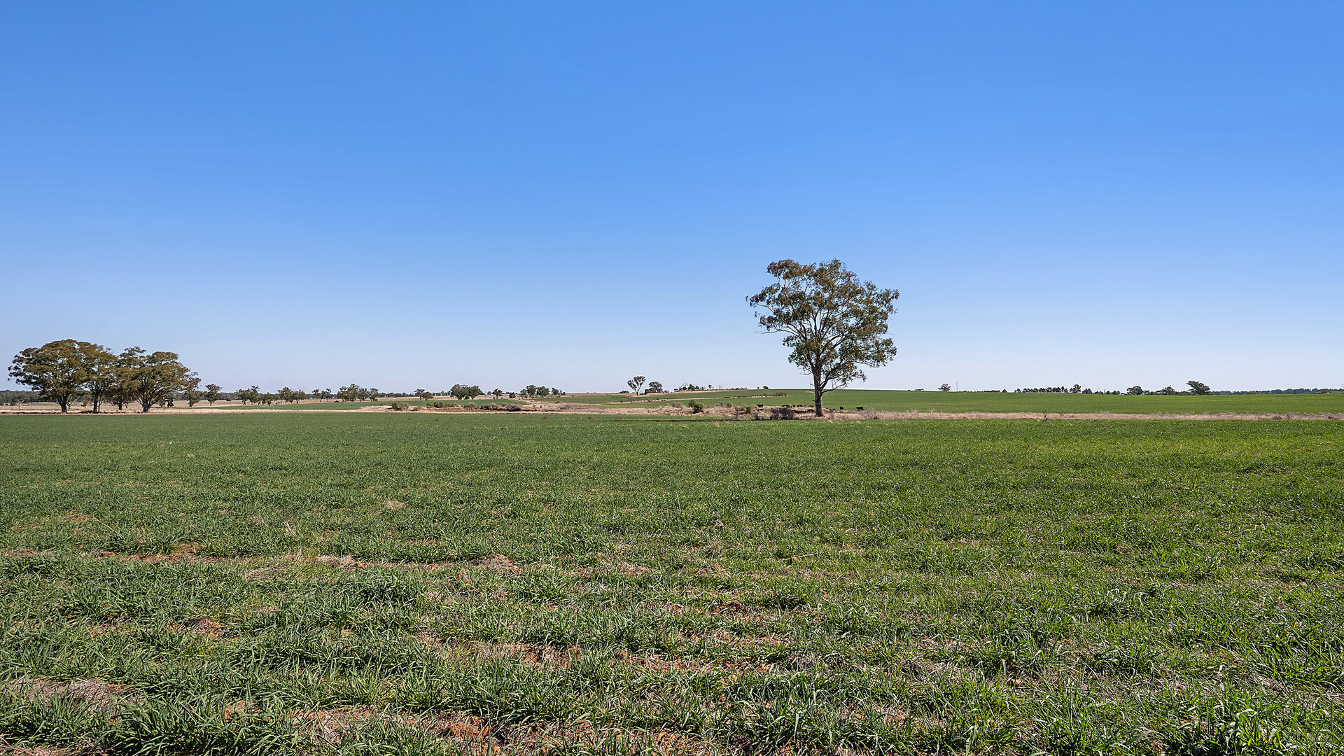 73 John Renshaw Parkway, Tooraweenah NSW 2817 - photo 15