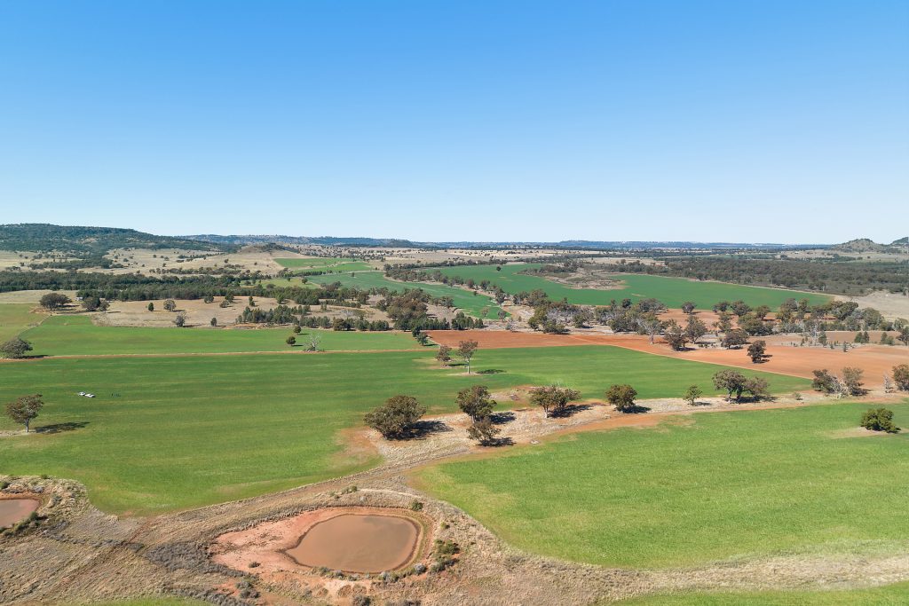 73 John Renshaw Parkway, Tooraweenah NSW 2817 - photo 5