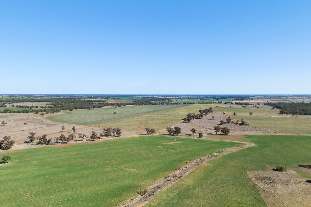 73 John Renshaw Parkway, Tooraweenah NSW 2817 - photo 6