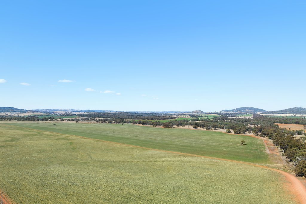 73 John Renshaw Parkway, Tooraweenah NSW 2817 - photo 7