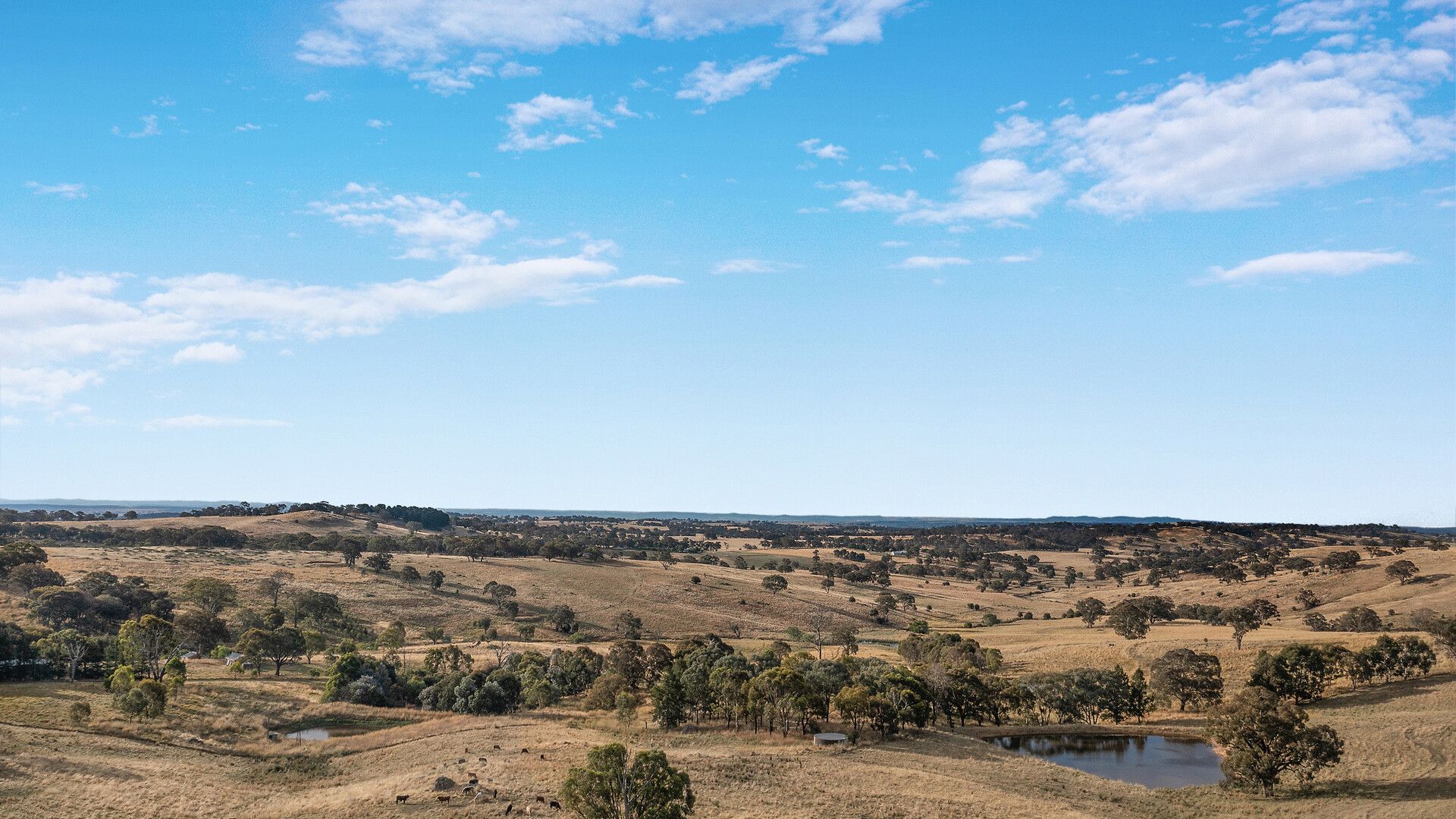 110 Offner Road, Orange NSW 2800 - photo 13