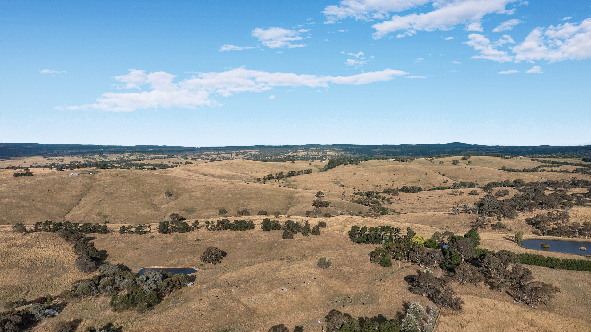 110 Offner Road, Orange NSW 2800 - photo 16