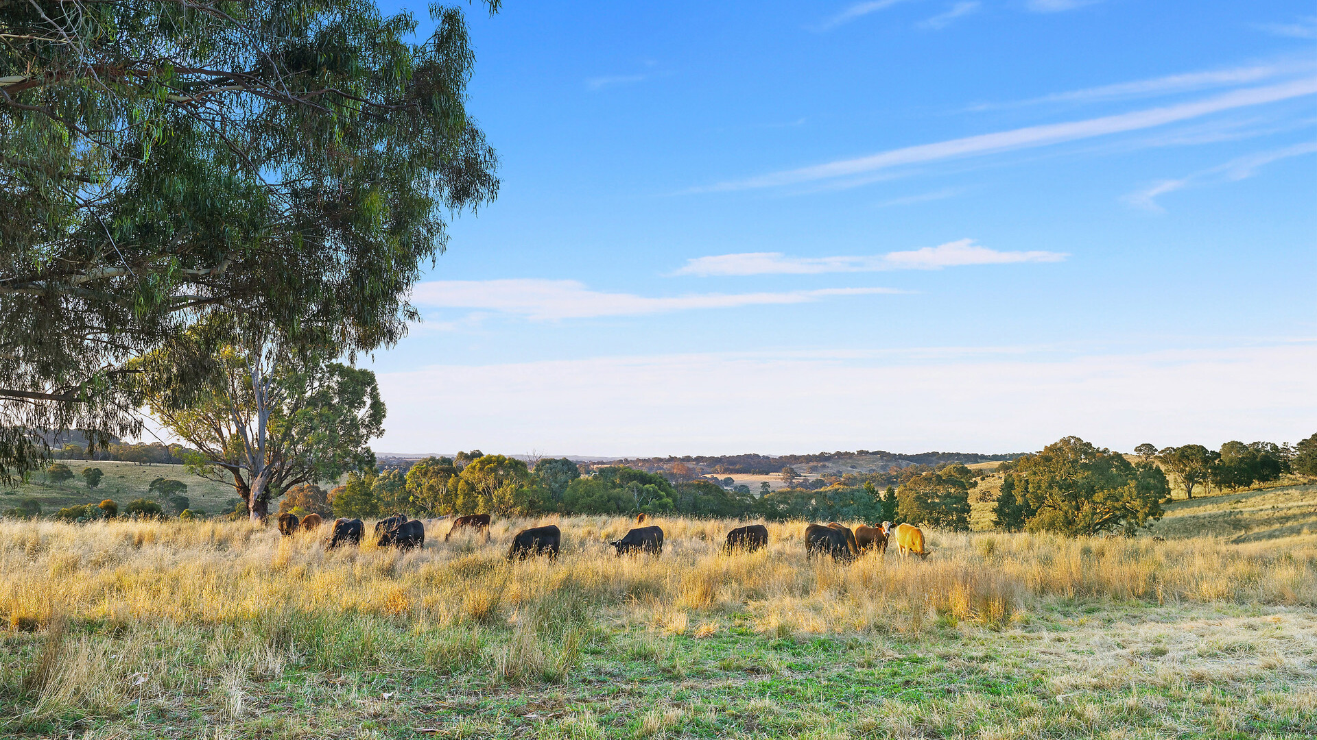 110 Offner Road, Orange NSW 2800 - photo 31