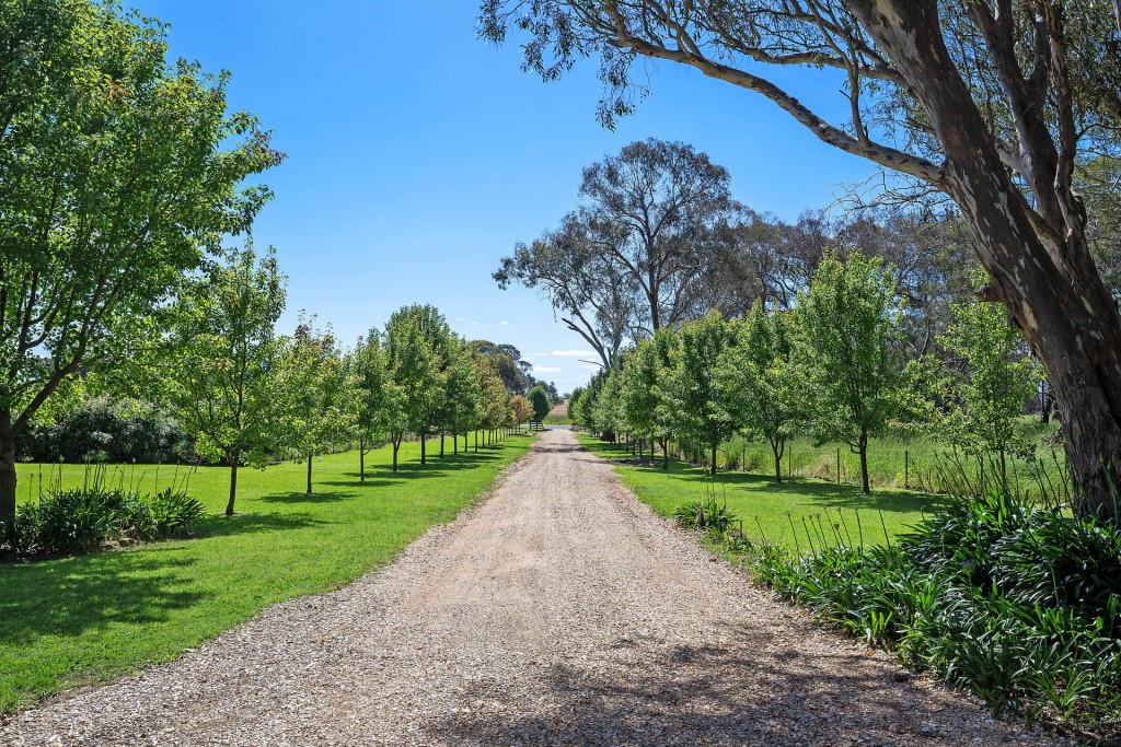 332 Euchareena Road, Molong NSW 2866 - photo 24