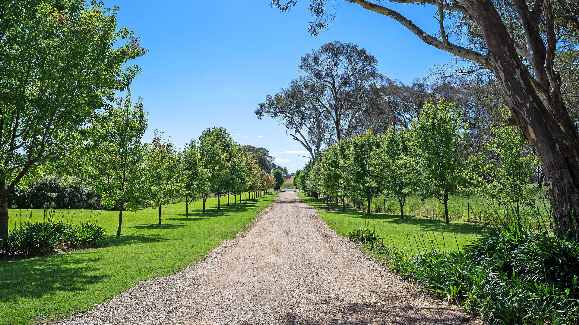 332 Euchareena Road, Molong NSW 2866 - photo 24