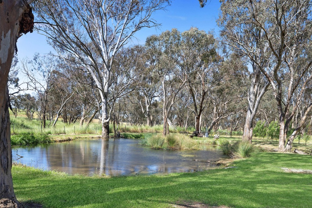 332 Euchareena Road, Molong NSW 2866 - photo 25