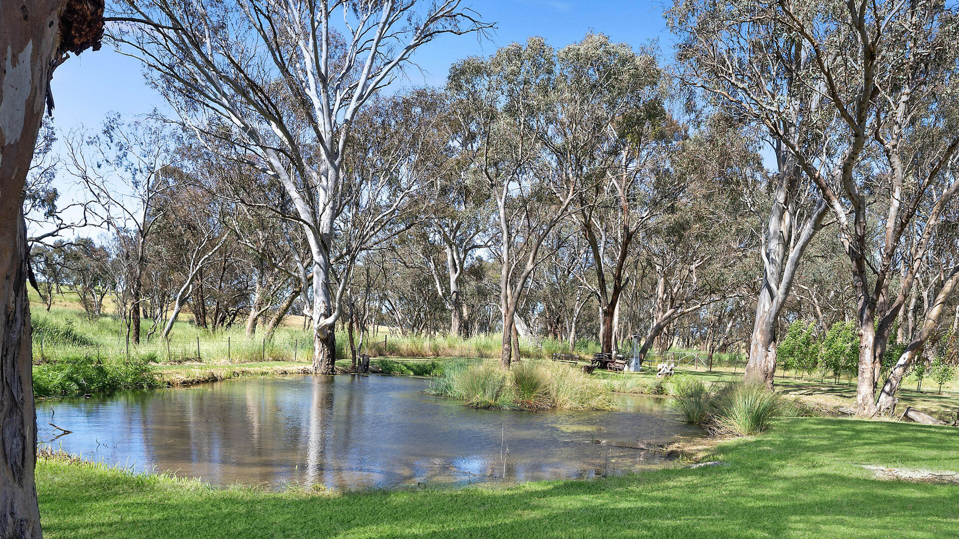 332 Euchareena Road, Molong NSW 2866 - photo 25
