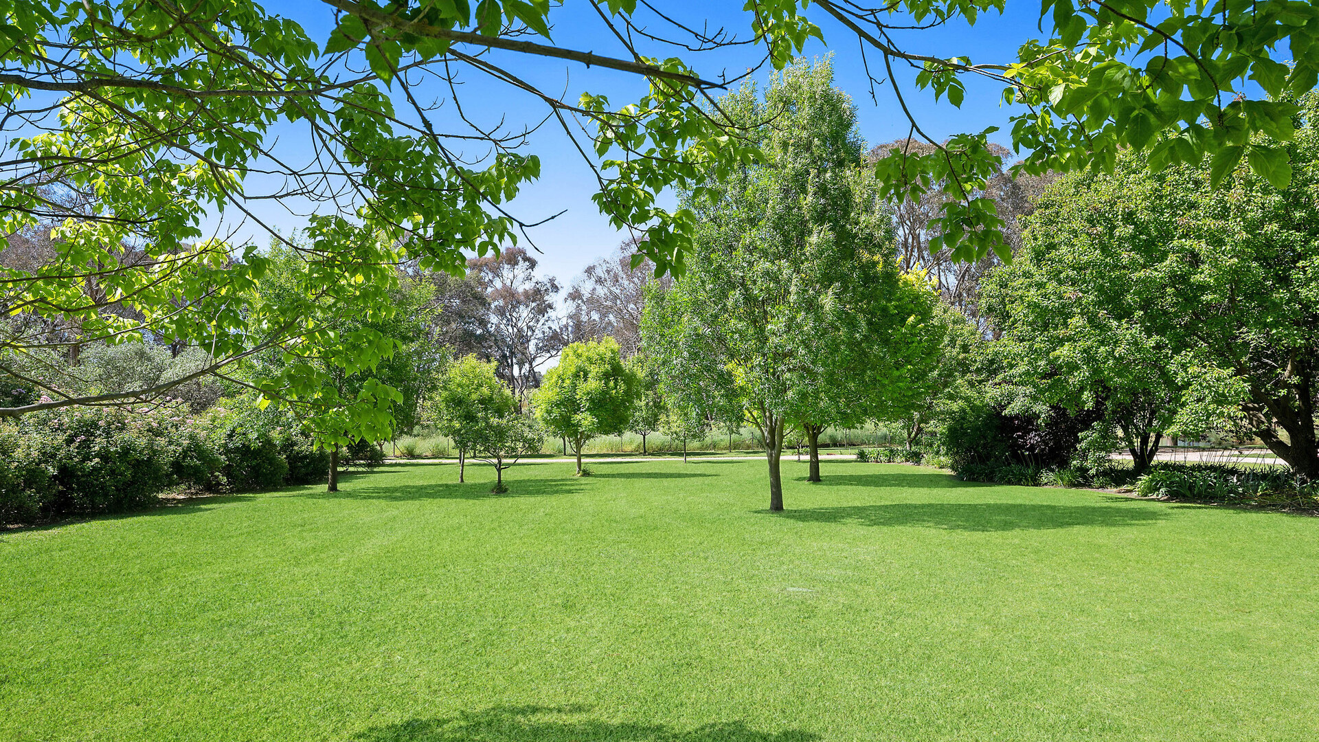 332 Euchareena Road, Molong NSW 2866 - photo 27