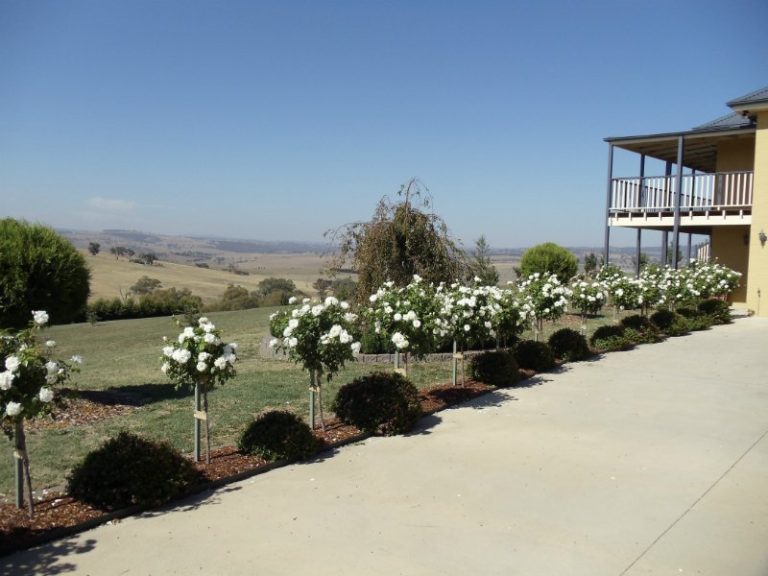 51 Hartwood Avenue, Bathurst NSW 2795 - photo 10