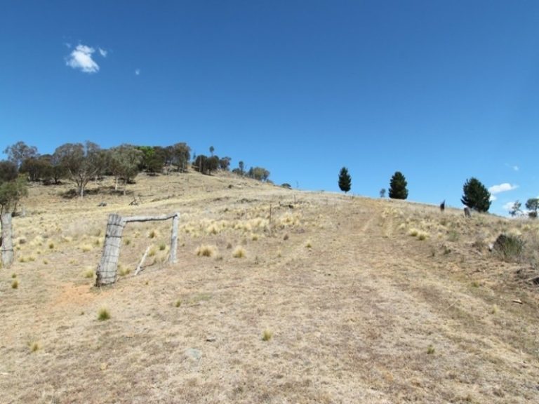 1490 Freemantle Road, Bathurst NSW 2795 - photo 11