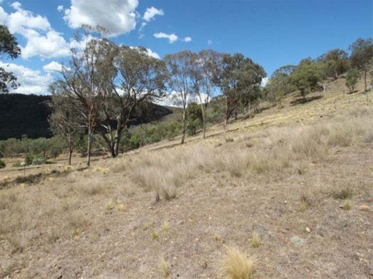 1490 Freemantle Road, Bathurst NSW 2795 - photo 12