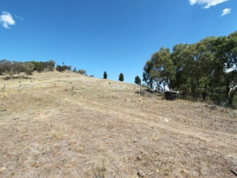 1490 Freemantle Road, Bathurst NSW 2795 - photo 14