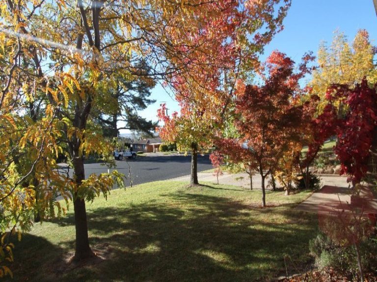 26 Mooney Valley Place, Bathurst NSW 2795 - photo 9