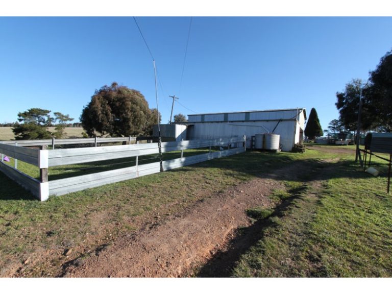 260 Curly Dick Road, Meadow Flat NSW 2795 - photo 2