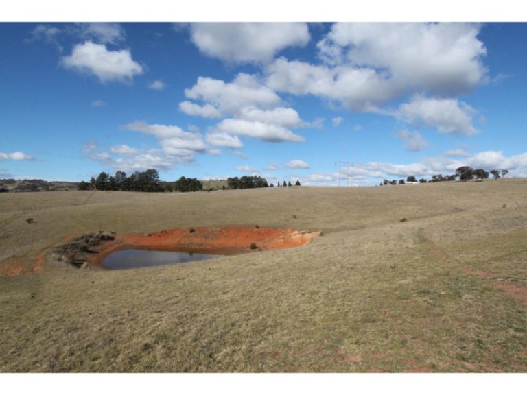 260 Curly Dick Road, Meadow Flat