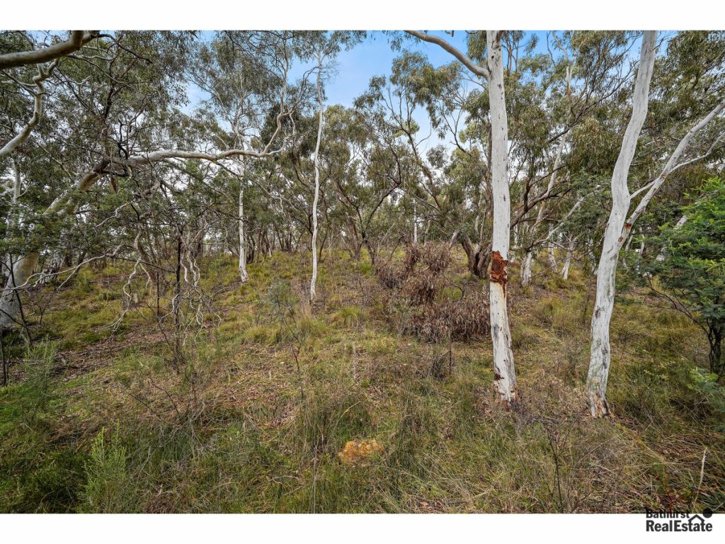 3720 Hill End Road, Hill End NSW 2850 - photo 2