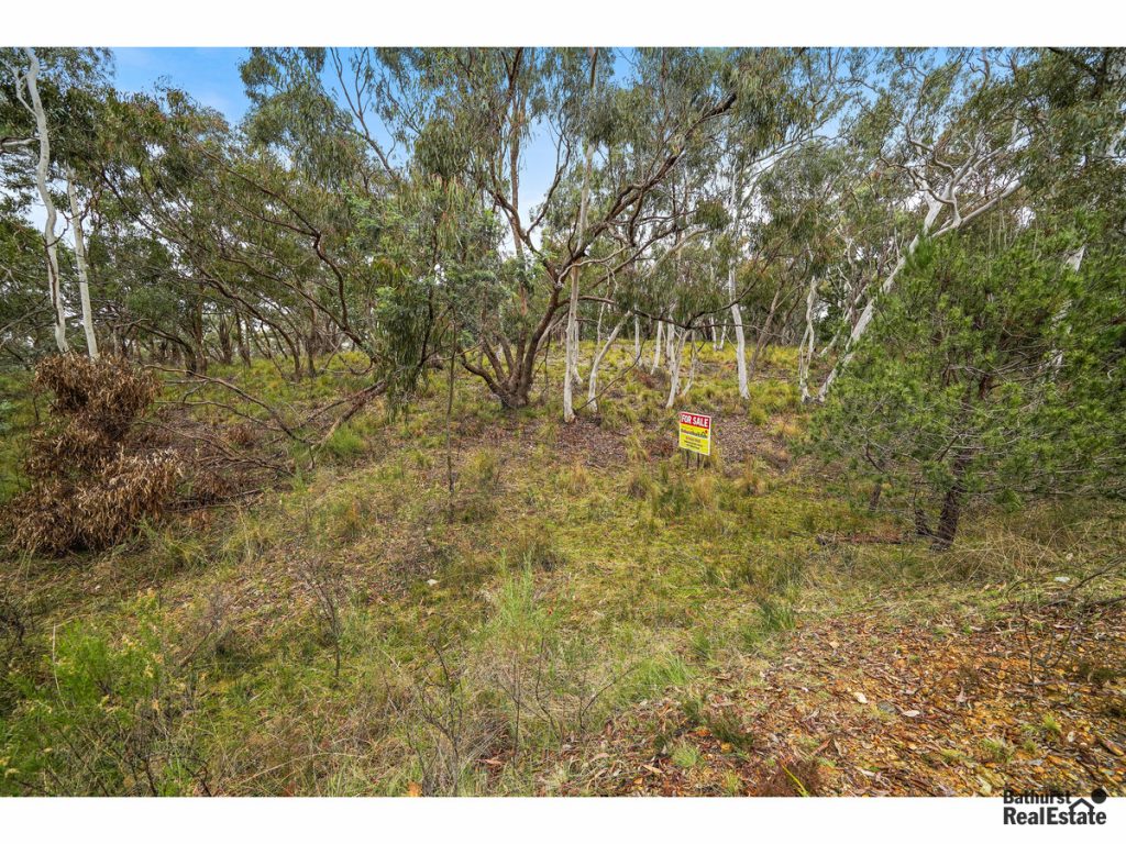 3720 Hill End Road, Hill End NSW 2850 - photo 4