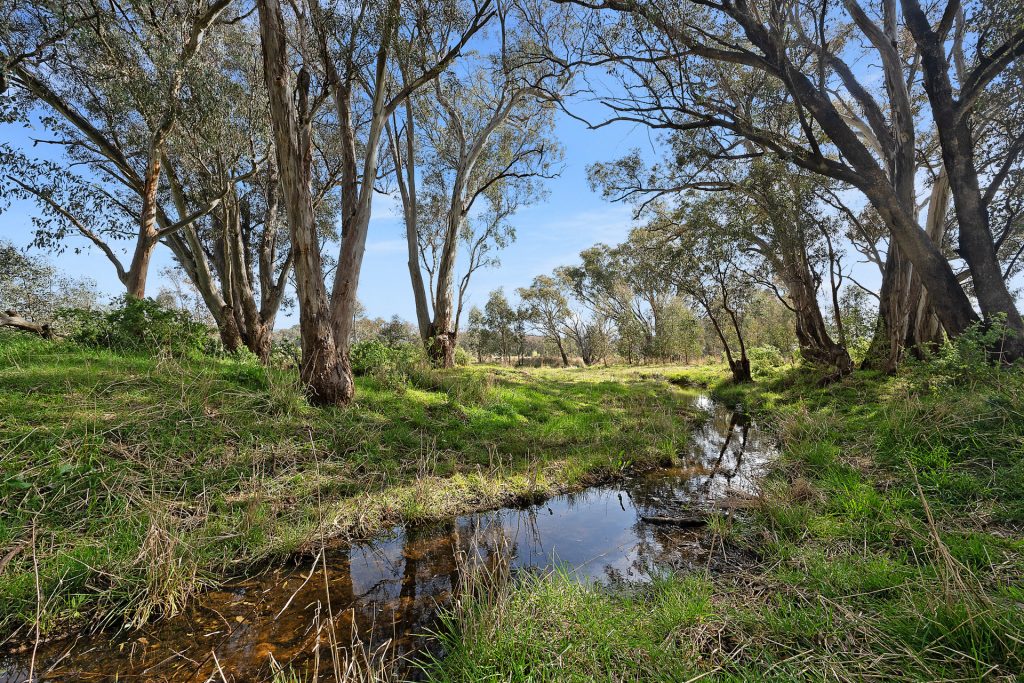 1211 South Bowan Park Road, Orange NSW 2800 - photo 2
