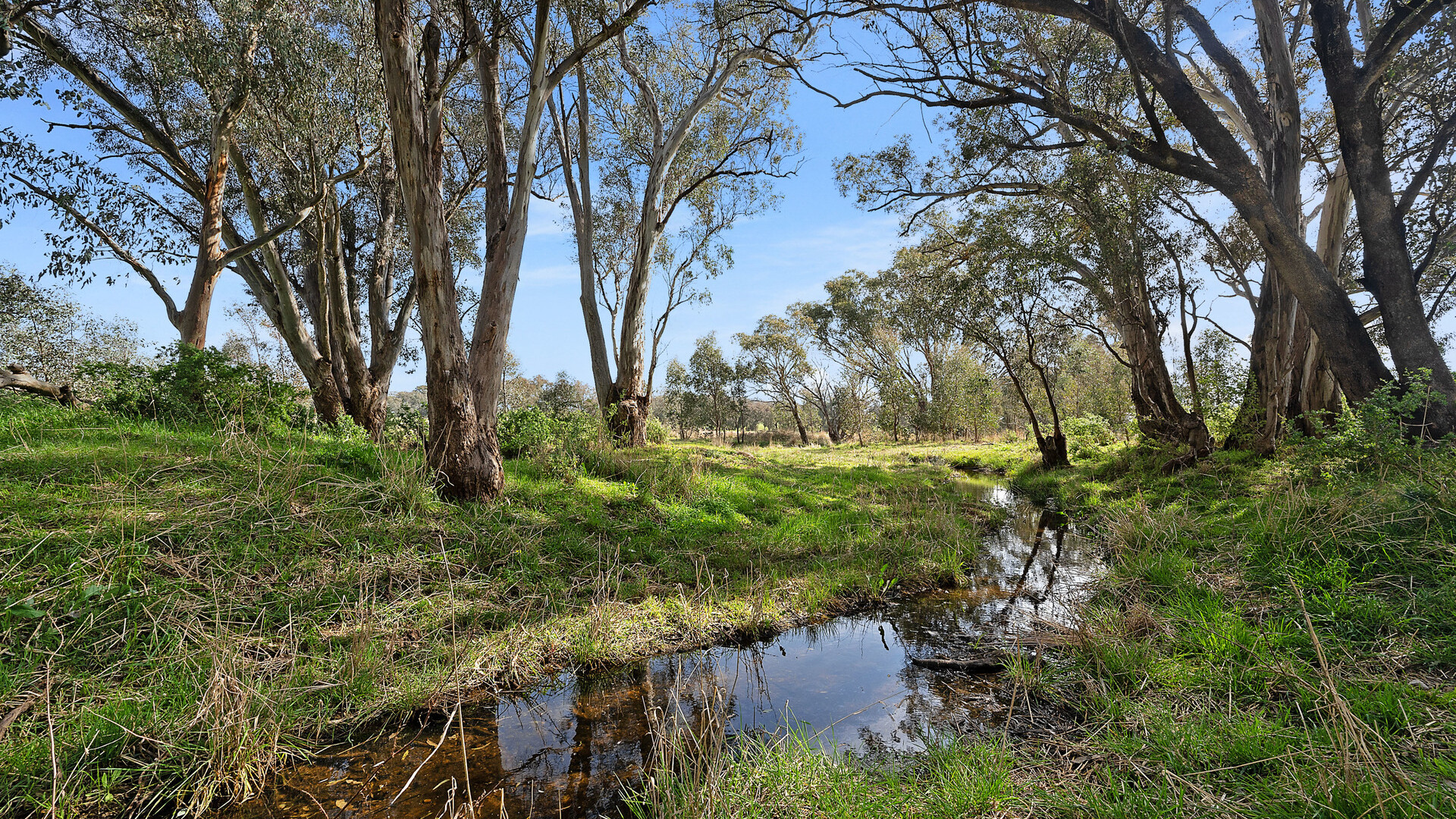 1211 South Bowan Park Road, Orange NSW 2800 - photo 2