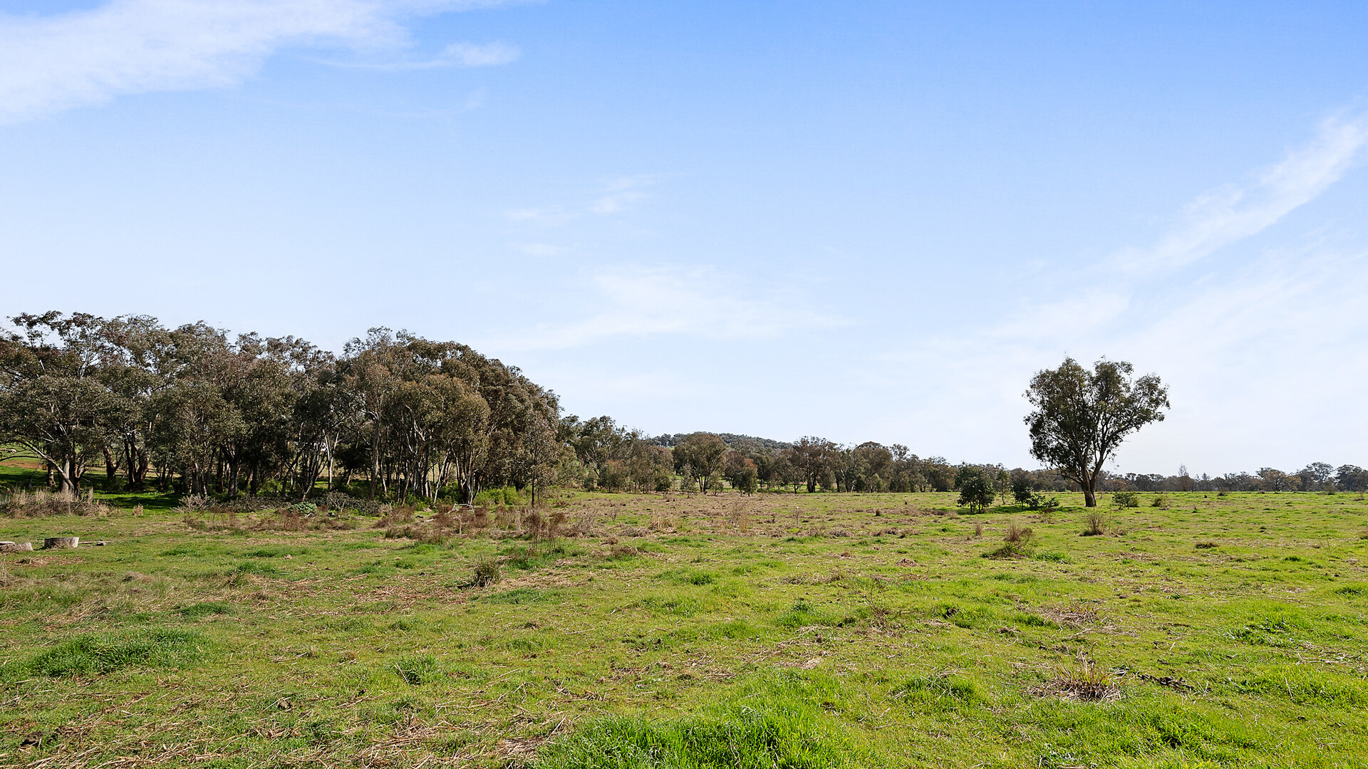 1211 South Bowan Park Road, Orange NSW 2800 - photo 3