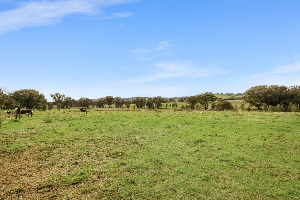 1211 South Bowan Park Road, Orange NSW 2800 - photo 4