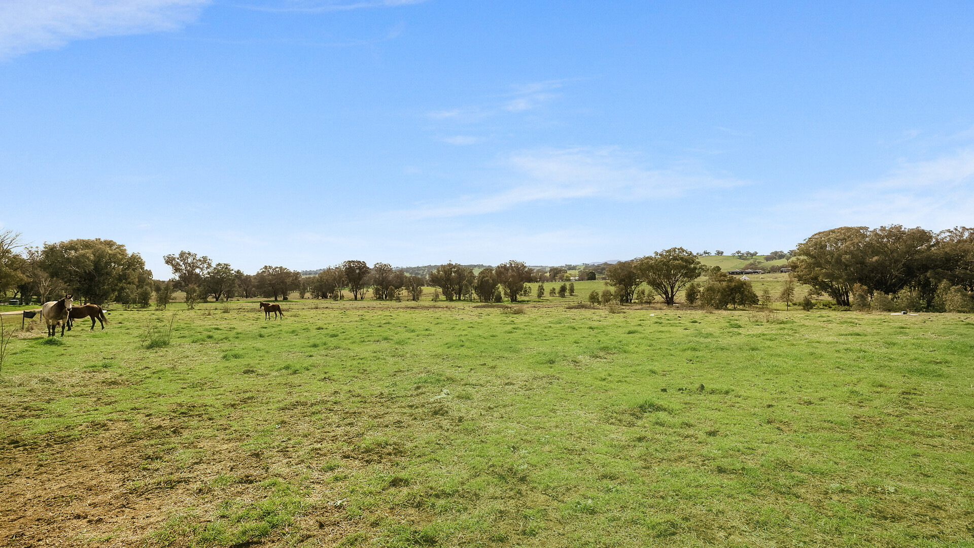 1211 South Bowan Park Road, Orange NSW 2800 - photo 4