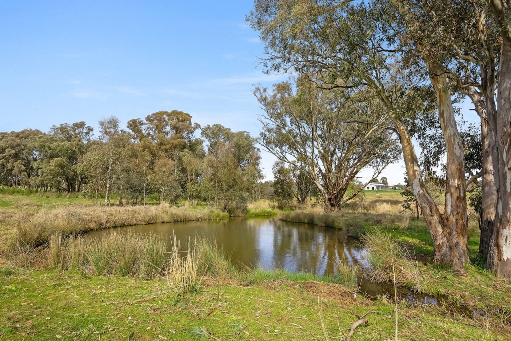 1211 South Bowan Park Road, Orange NSW 2800 - photo 9