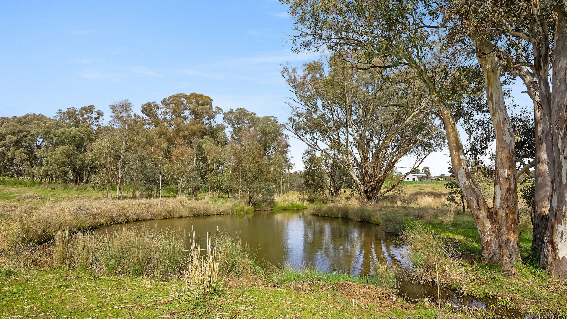 1211 South Bowan Park Road, Orange NSW 2800 - photo 9