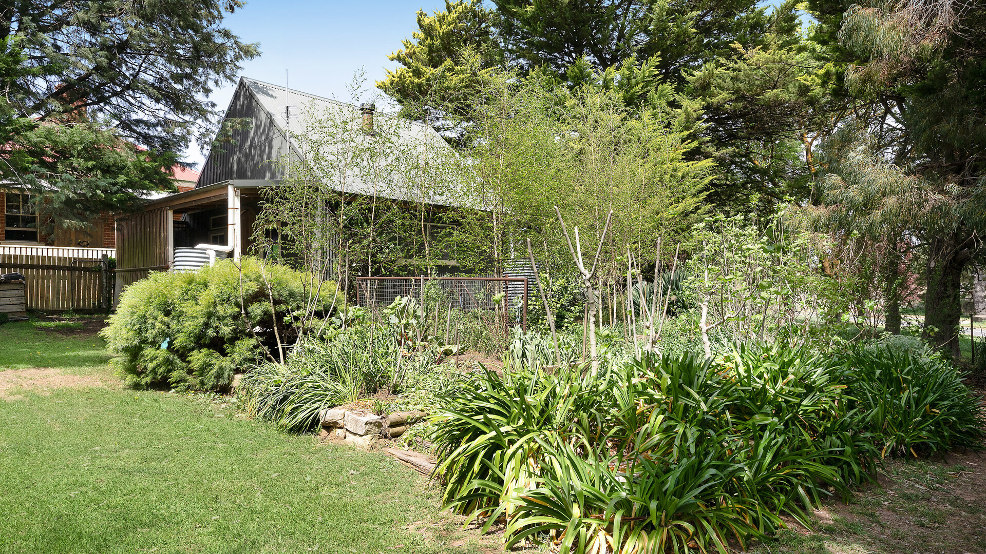 34 Crowson Street, Millthorpe NSW 2798 - photo 19