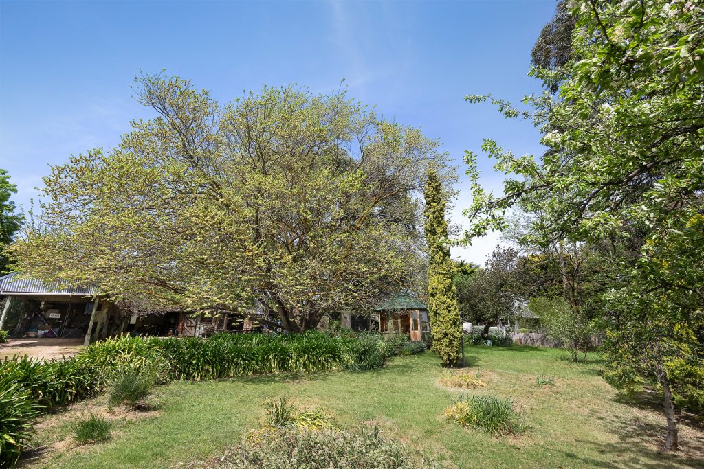 34 Crowson Street, Millthorpe NSW 2798 - photo 21