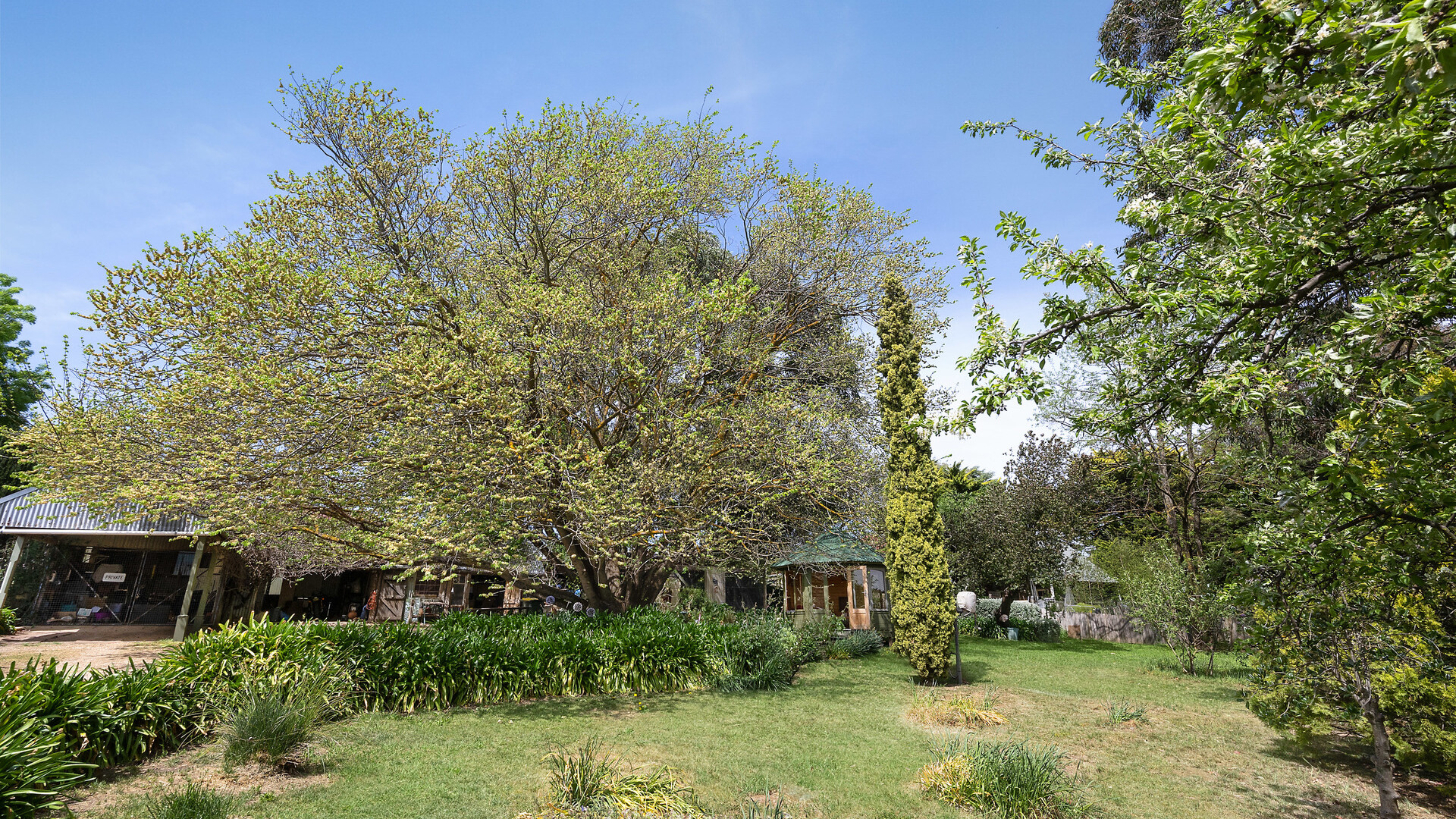 34 Crowson Street, Millthorpe NSW 2798 - photo 21