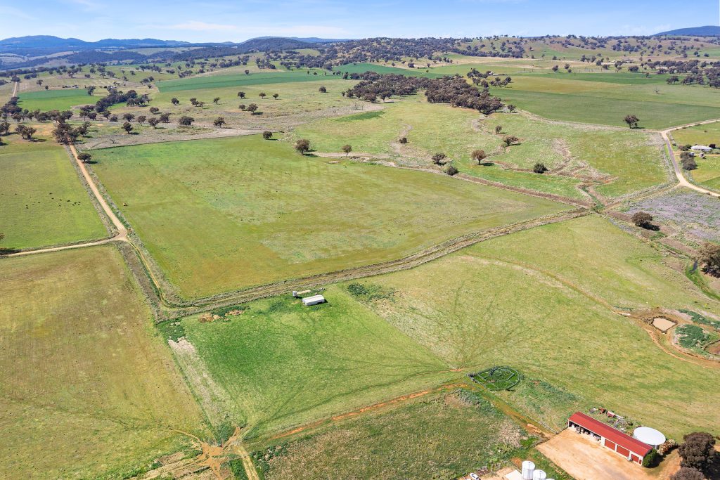 339 South Bowan Park Road, Orange NSW 2800 - photo 2