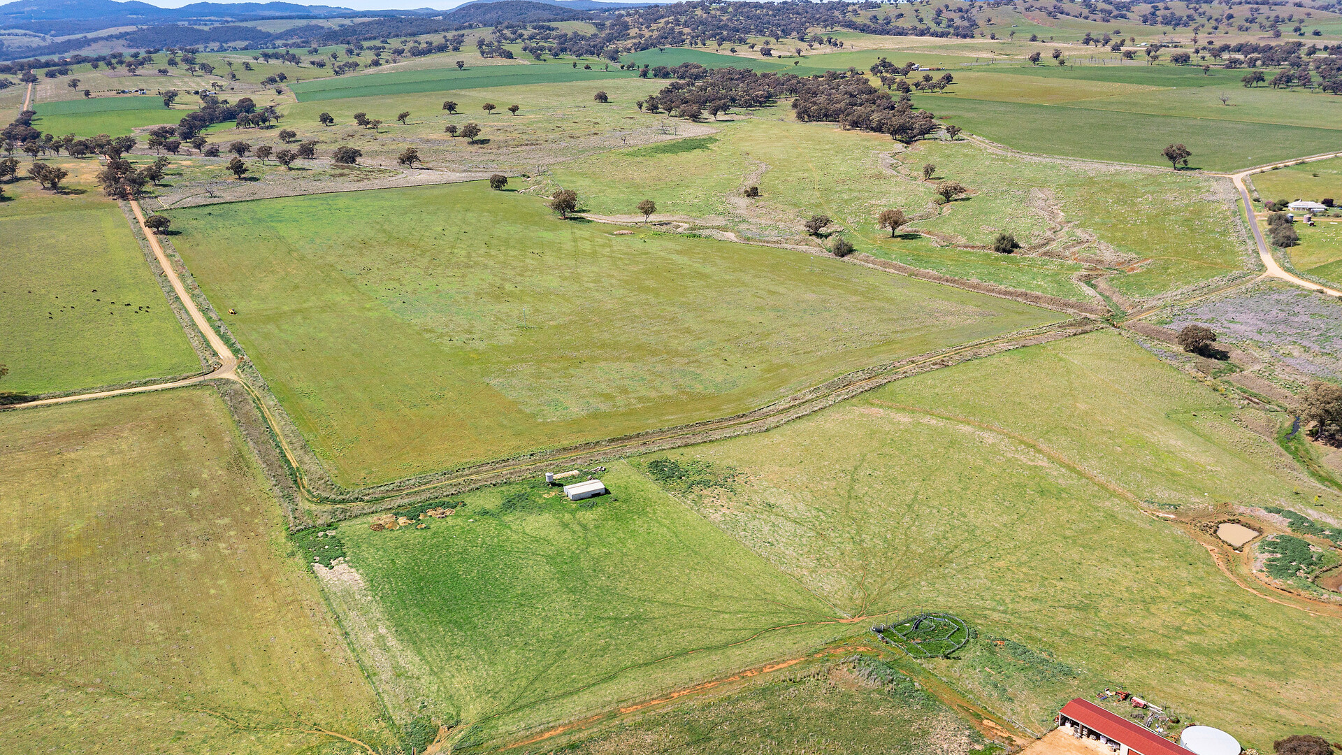 339 South Bowan Park Road, Orange NSW 2800 - photo 2