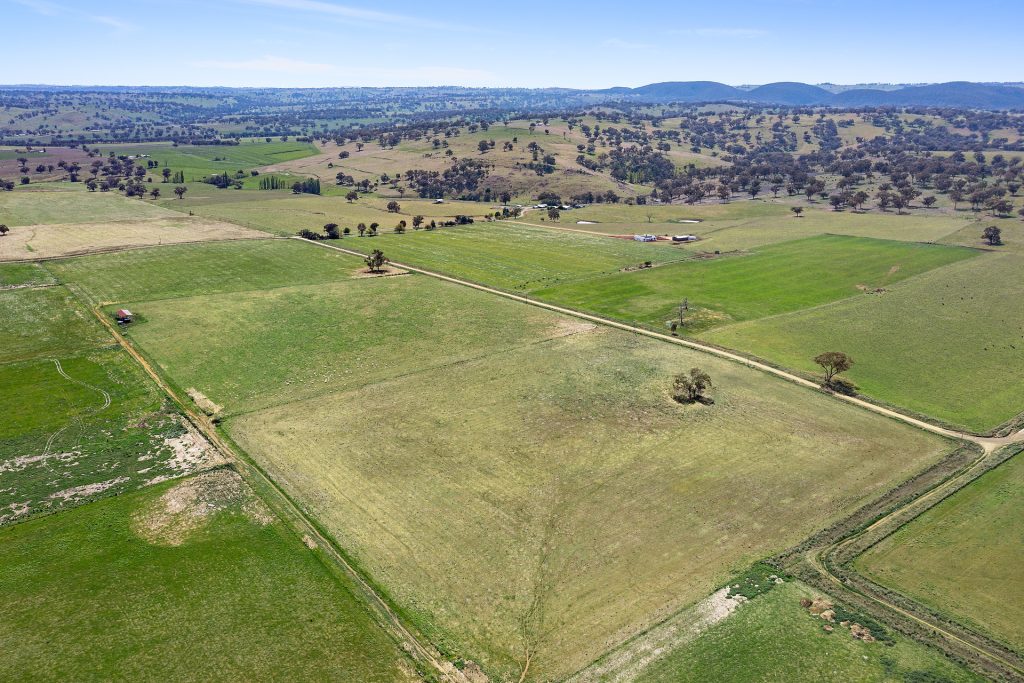 339 South Bowan Park Road, Orange NSW 2800 - McGrath Central West