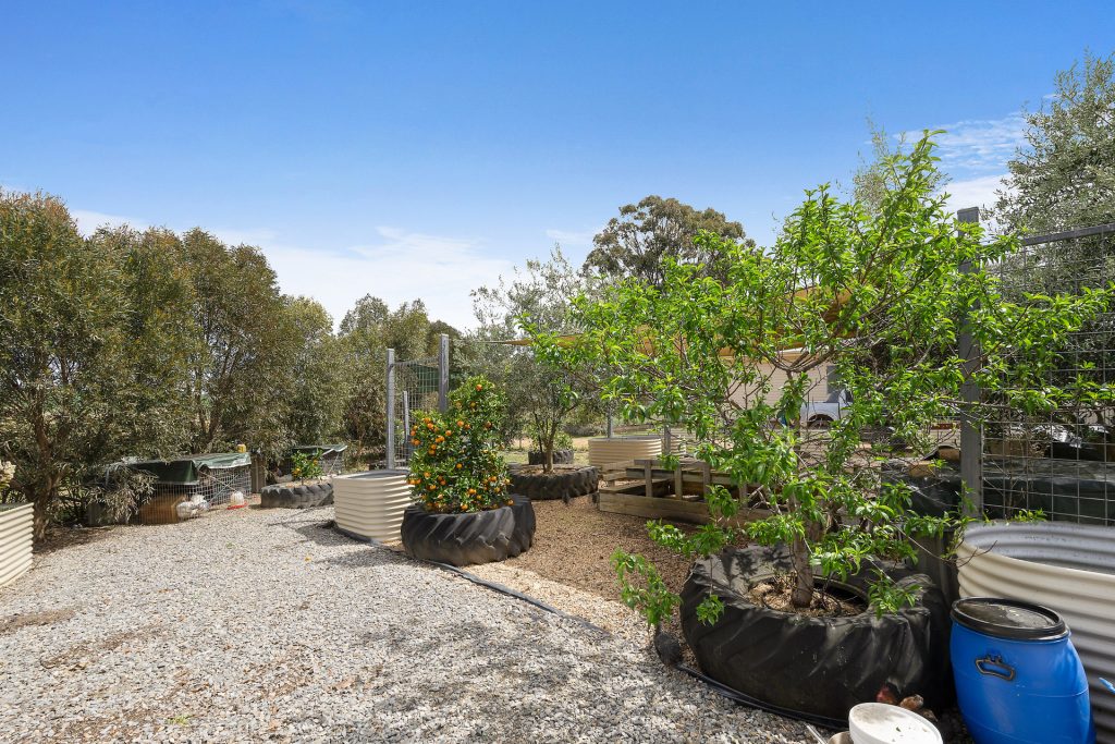339 South Bowan Park Road, Orange NSW 2800 - photo 12