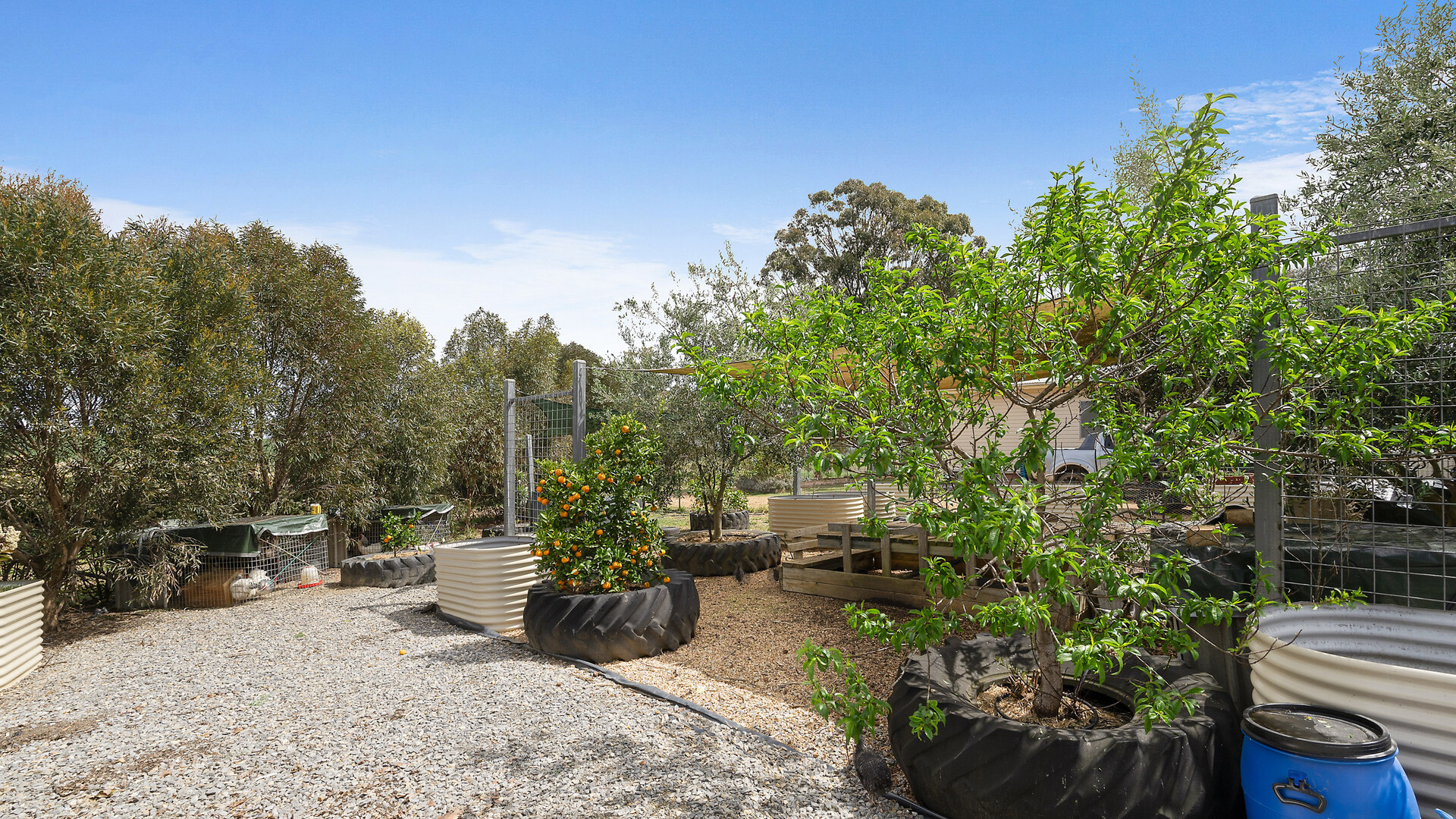 339 South Bowan Park Road, Orange NSW 2800 - photo 12