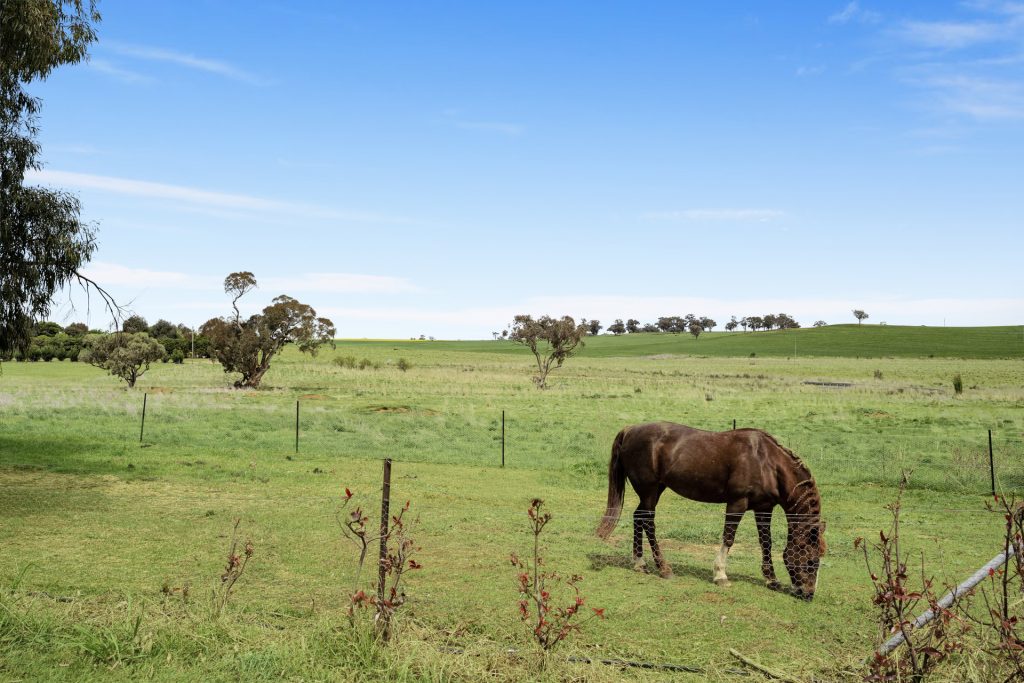 339 South Bowan Park Road, Orange NSW 2800 - photo 18