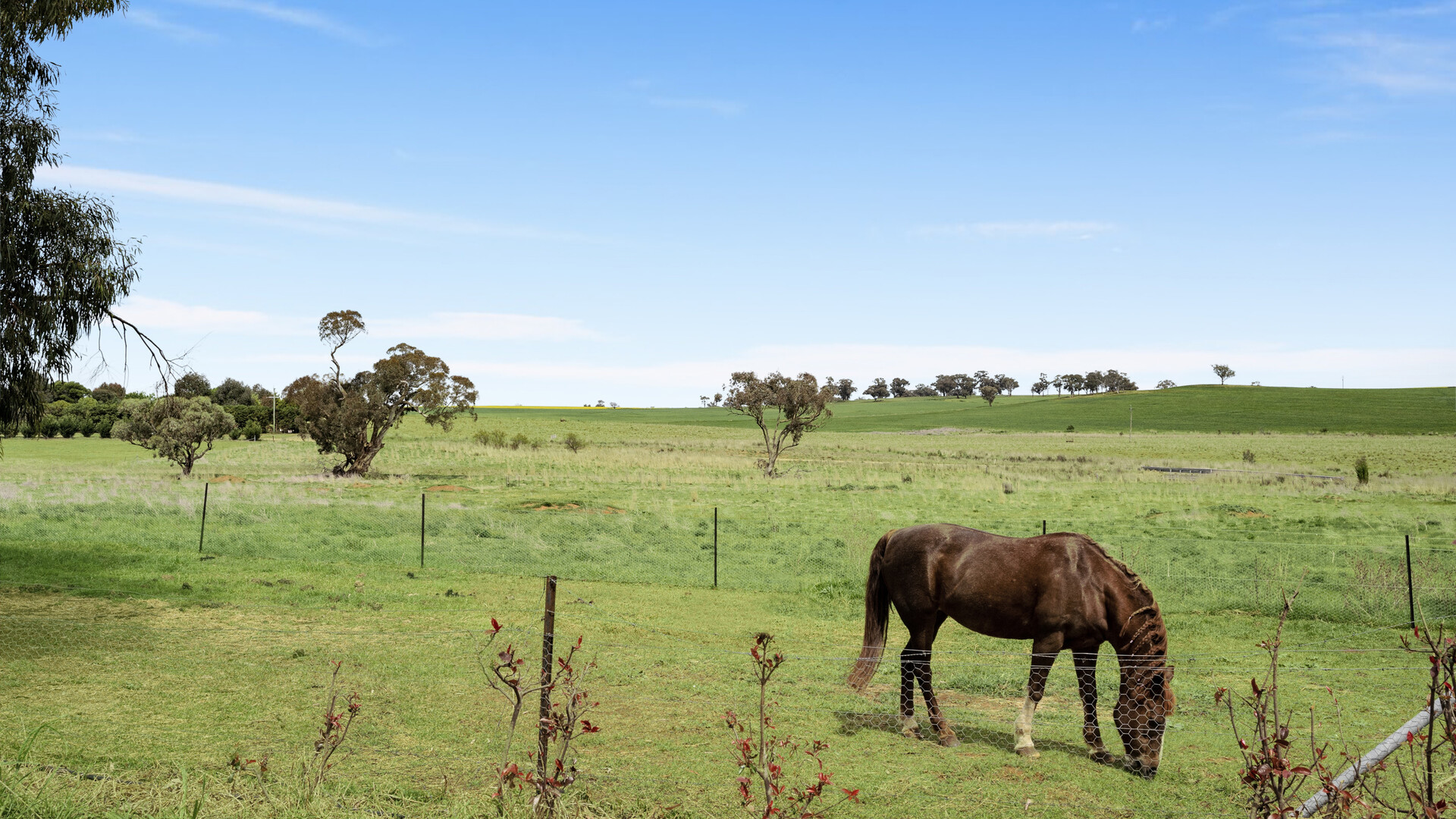 339 South Bowan Park Road, Orange NSW 2800 - photo 18