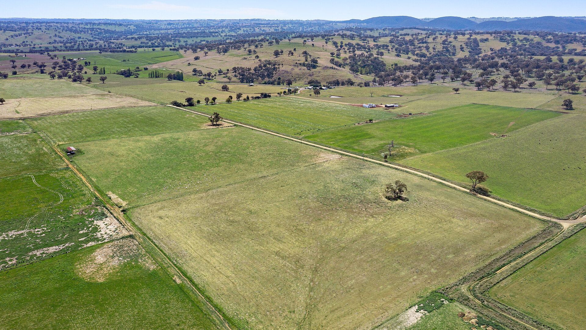 339 South Bowan Park Road, Orange NSW 2800 - McGrath Central West