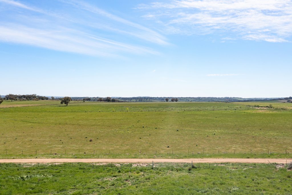 339 South Bowan Park Road, Orange NSW 2800 - photo 3