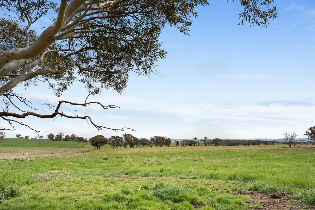 339 South Bowan Park Road, Orange NSW 2800 - photo 22