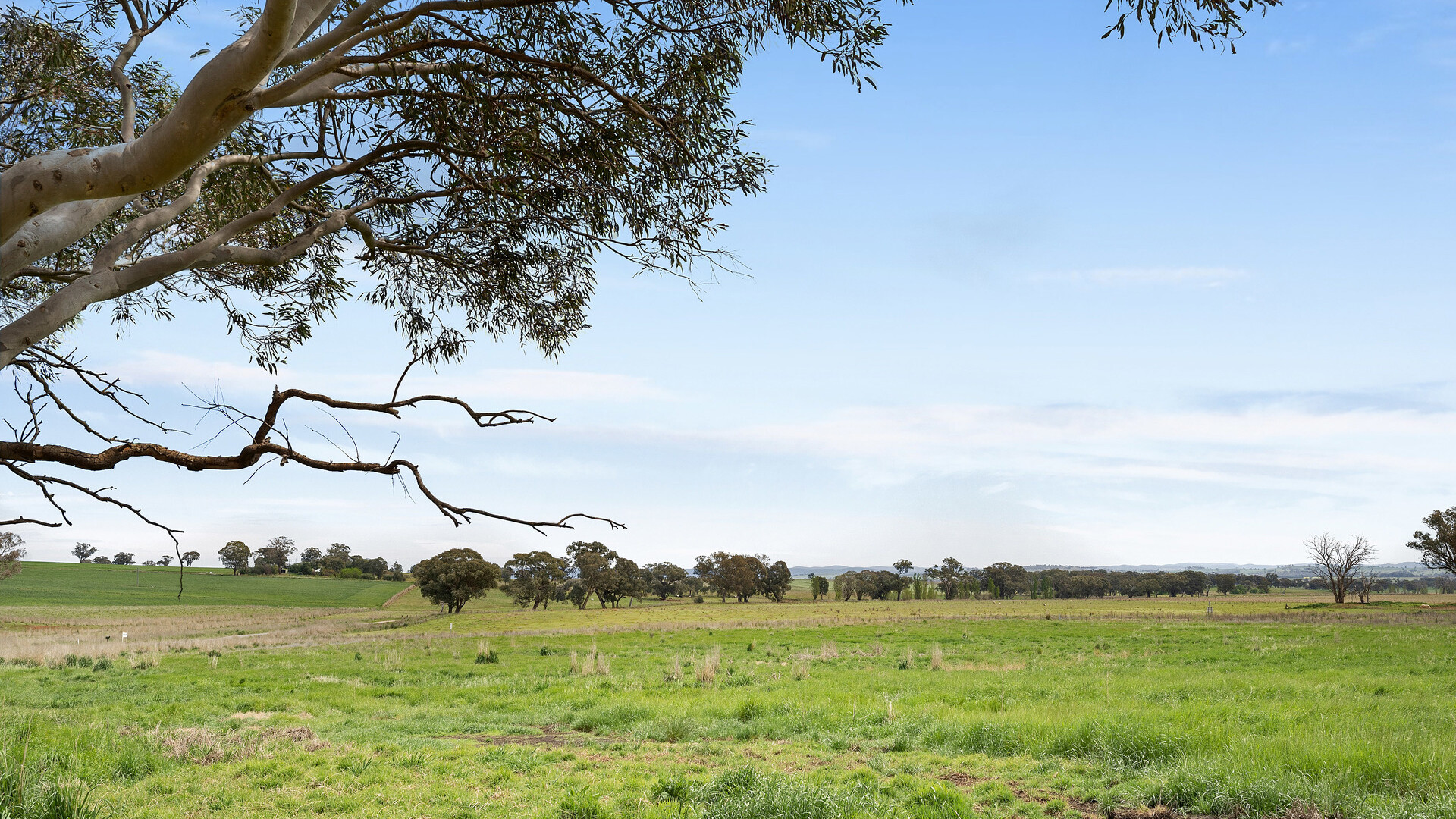 339 South Bowan Park Road, Orange NSW 2800 - photo 22